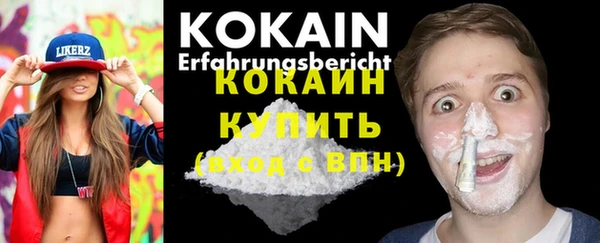 крисы Богородицк