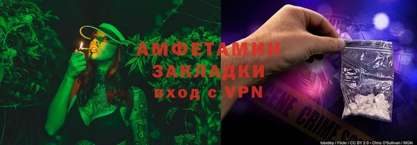 крисы Богородицк