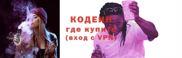 крисы Богородицк