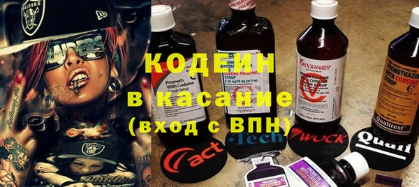 крисы Богородицк