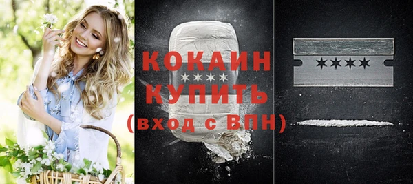 крисы Богородицк