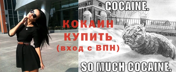 крисы Богородицк