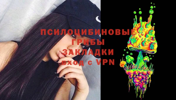 крисы Богородицк