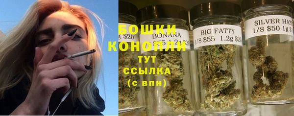 крисы Богородицк