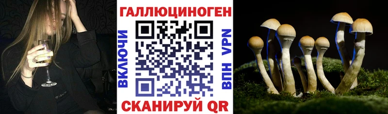 OMG онион  Сызрань  Псилоцибиновые грибы ЛСД 